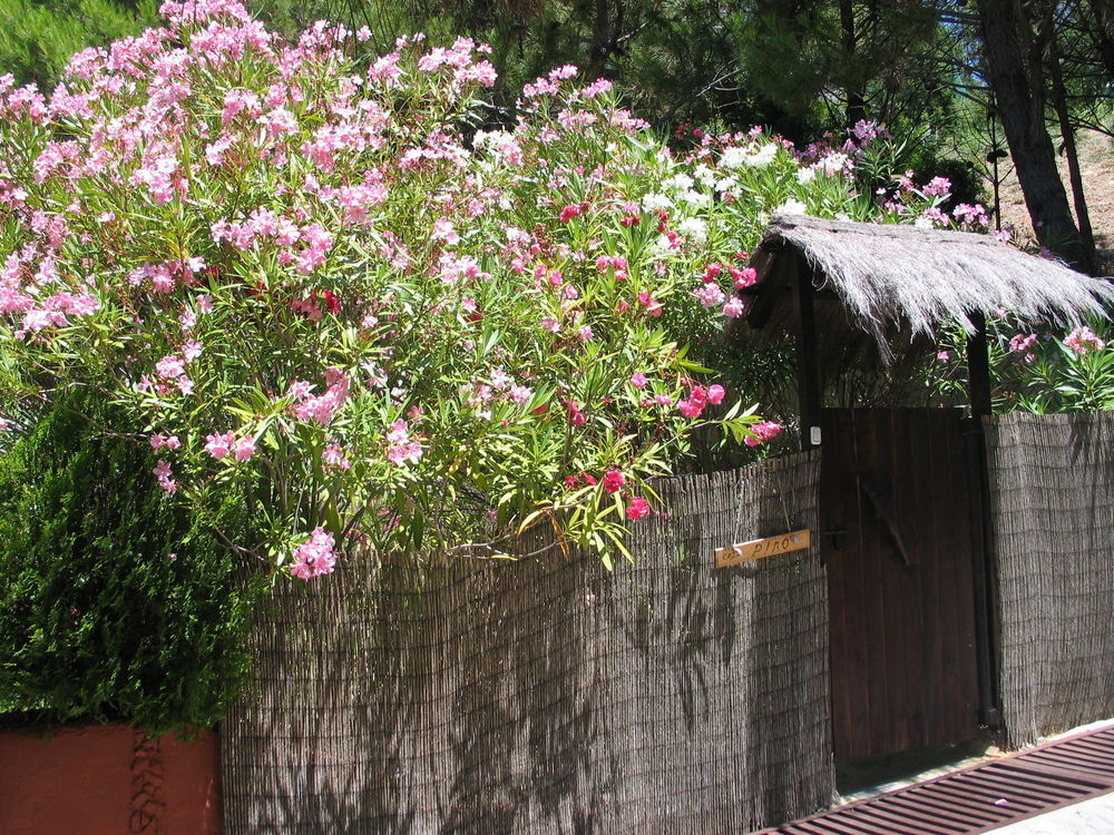 Ddg Retreat Hotel Casares Kültér fotó