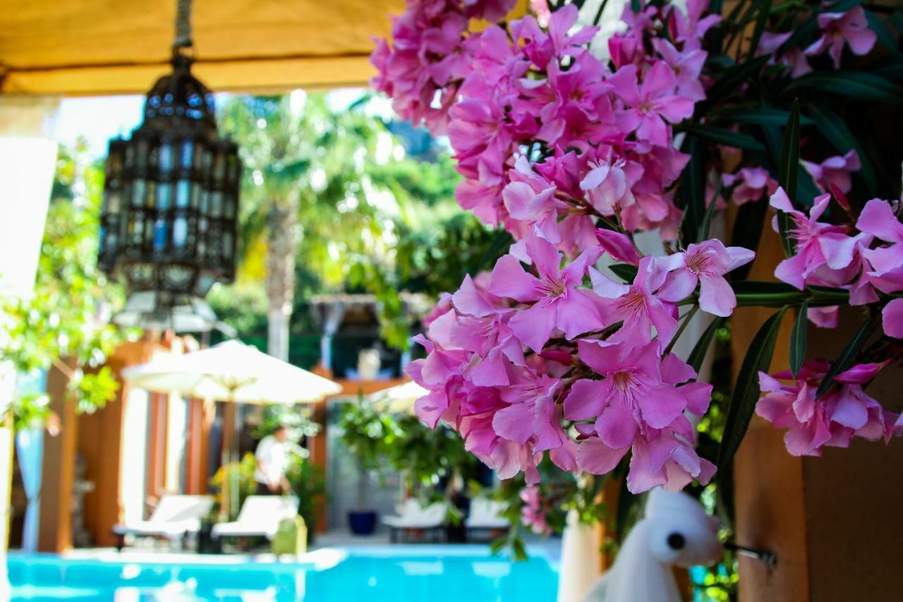 Ddg Retreat Hotel Casares Kültér fotó